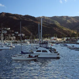 Avalon Harbor, Catalina Island