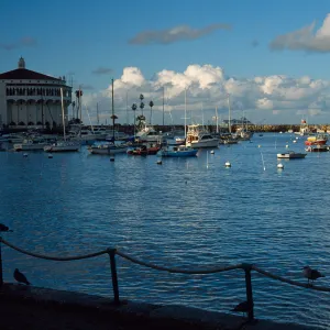 Avalon Harbor & casino, Catalina Island