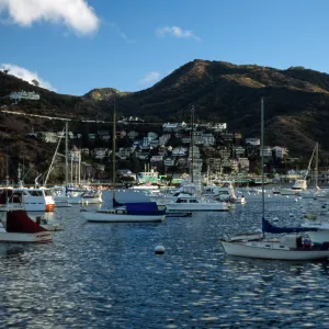 Avalon Harbor, Catalina Island