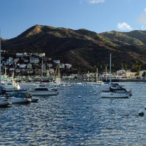 Avalon Harbor, Catalina Island