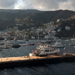 Avalon Harbor, Catalina Island