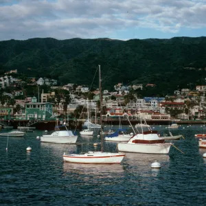Avalon Bay, Catalina Island