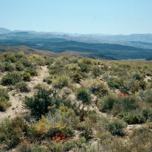 Saline Valley, North end, Northern Mojave Desert