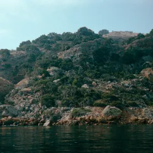rock slide, Pelican/Prisoners Trail, Santa Cruz Island
