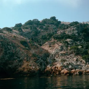 rock slide, Pelican/Prisoners Trail, Santa Cruz Island
