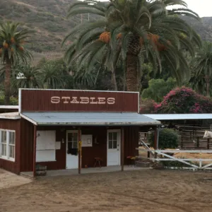 Avalon Stables Santa Catalina Island