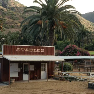 Avalon Stables Santa Catalina Island