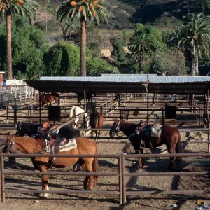 stables, Avalon Canyon, Santa Catalina Island
