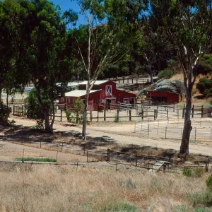 stables, Middle Ranch, Santa Catalina Island