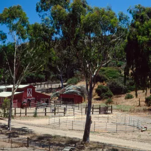stables, Middle Ranch, Santa Catalina Island