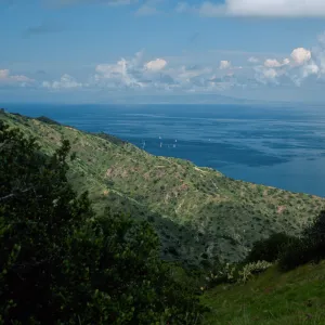 view of mainland, from Toyon Bay Road, Santa Catalina Island