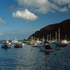 Avalon Harbor, Santa Catalina Island