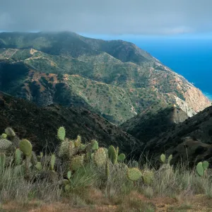 looking towards Palisades from Lone Tree Point, Santa Ctalina Island