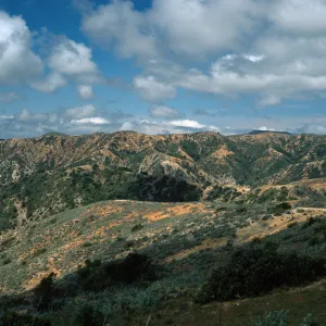 Orizaba Peak (in center) from road to Lone Tree Point, Santa Catalina Island