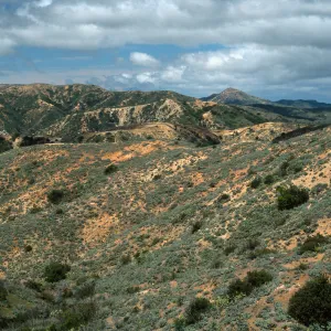 Orizaba (left) & Blackjack Peaks (center) from Divide Road, Santa Catalina Island