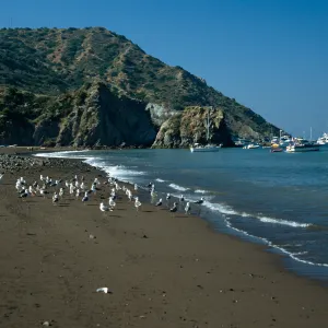Whites Landing, Santa Catalina Island
