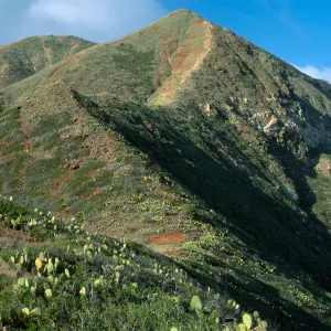 Southwest side, near Δ “Granite” ridge, Santa Catalina Island