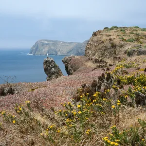 South side, looking West, East Anacapa Island
