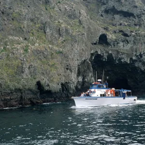 Sunfish at Landing Cove, East Anacapa Island