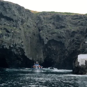 Sunfish at Landing Cove, East Anacapa Island