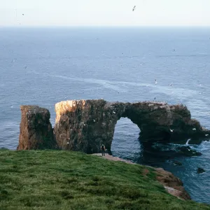 Arch Rock from slope N-E of lighthouse, East Anacapa Island