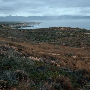 dunes at end of Spur Road, Vandenberg AFB