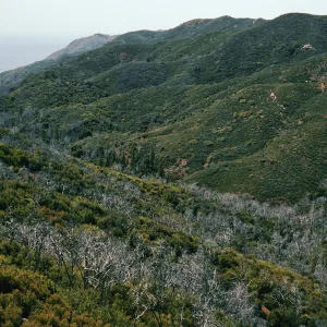 Villa Creek view, Lions Den, Big Sur, Monterey County