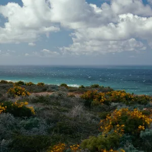 North shore, Northwest of airfield, San Nicolas Island