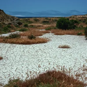 clay flats, lower Cattail Canyon, San Nicolas Island