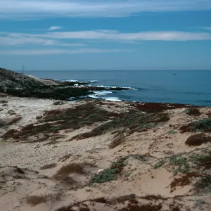 dunes, North side of Vizcaino Point, from cormorant blind, San Nicolas Island