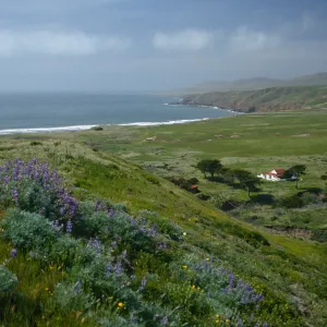 Christy Ranch, Santa Cruz Island