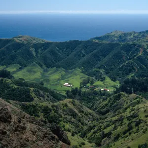 Stanton Ranch, from Red Peak, Santa Cruz Island