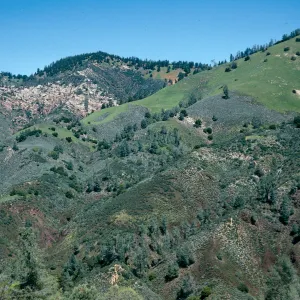 Zaca Peak, from Figueroa Mountain Road, Santa Barbara County