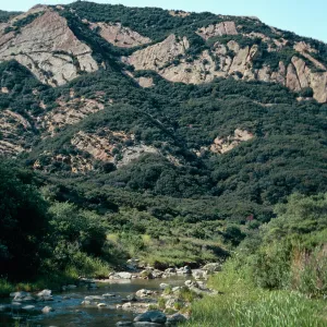 looking North from just West of Hwy 101- Gaviota rest area, Santa Barbara County