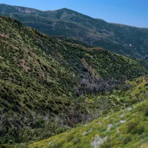 burn, Highway 33