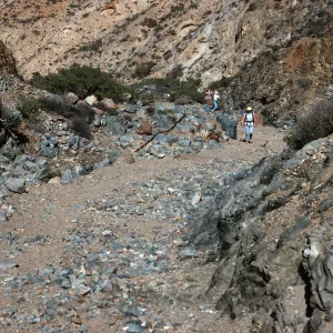 new road, lower Cañon de La Mina, Cedros Island, Baja, Ca.