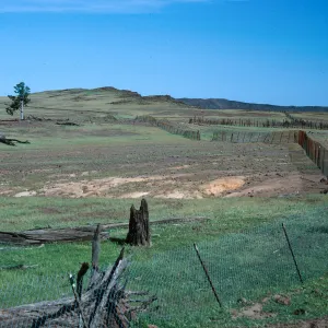 fence, Cypress grove, near Mount Augusta, Guadalupe Island
