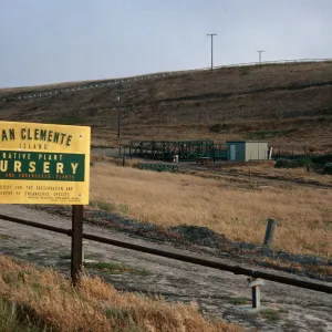 SCI Nursery, San Clemente Island