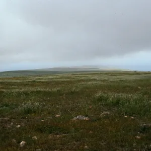 mesa, West of Δ Stone, looking North, San Clemente Island