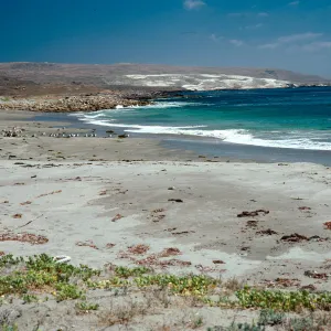 west beach, San Clemente Island