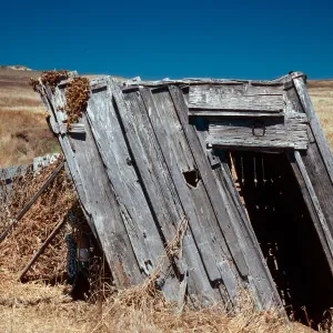 fishing shack, Morse Point, Santa Cruz Island