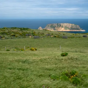 campground, San Miguel Island