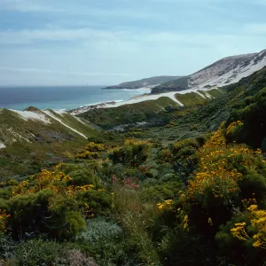 Cuyler Harbor, mouth of Cañada Del Mar, San Miguel Island