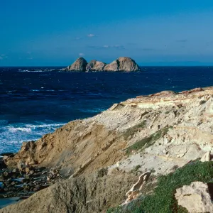 Castle Rock, San Miguel Island