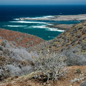 view of Middle San Benito Island,, West San Benito Island