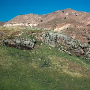 Arabis locality, North of Buena Vista, Santa Cruz Island