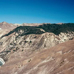 Eastern Pines, looking East, Santa Cruz Island