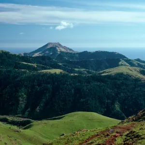 Christy Pines & Ragged Mountain from saddle, West of Peak 1848, Santa Cruz Island