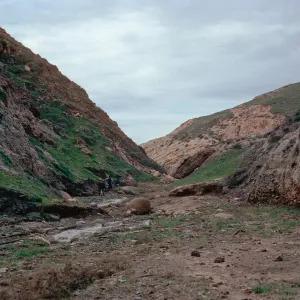 Cañada de Los Sauces, Santa Cruz Island