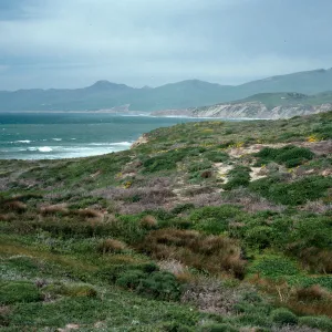 swale in dunes, North of Point Conception, Santa Barbara County